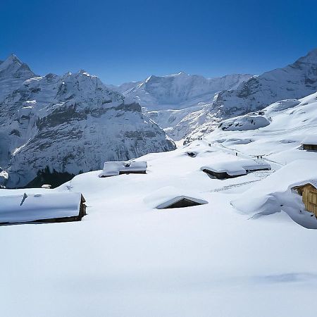 Apartment Chalet Baergsunna-1 By Interhome Grindelwald Luaran gambar