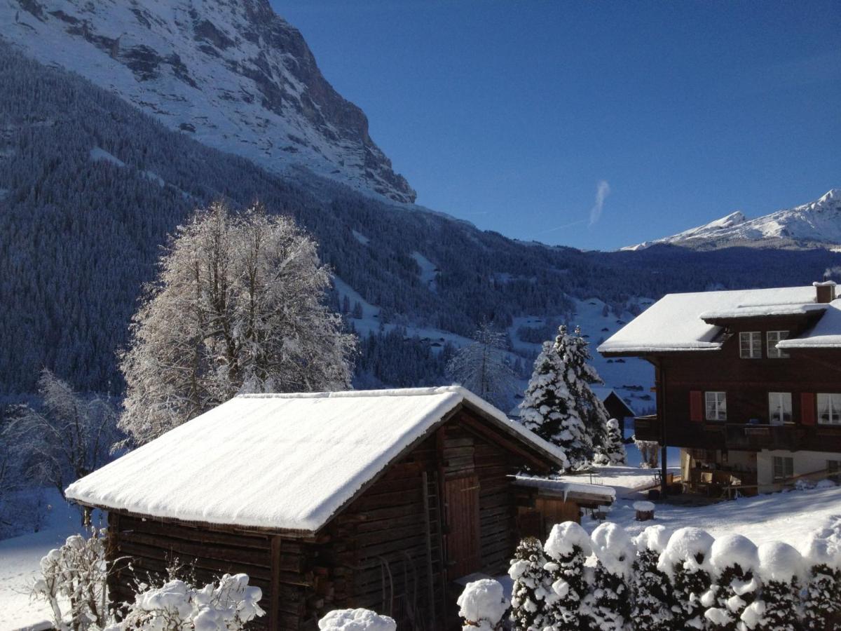 Apartment Chalet Baergsunna-1 By Interhome Grindelwald Luaran gambar
