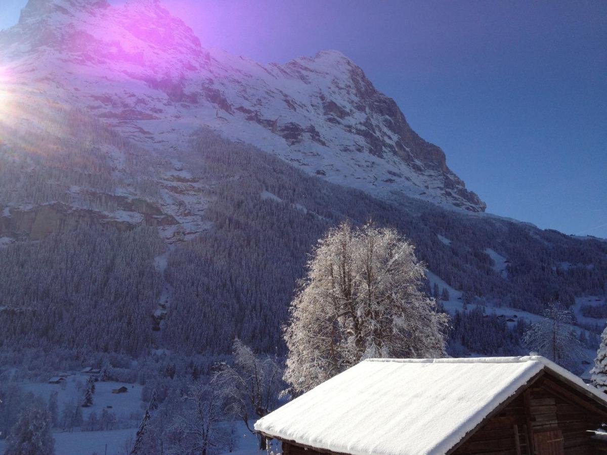 Apartment Chalet Baergsunna-1 By Interhome Grindelwald Luaran gambar