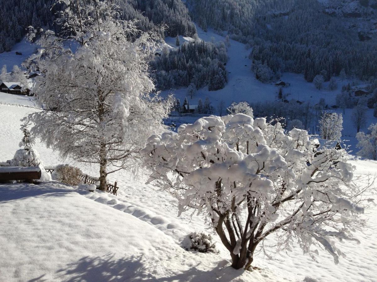 Apartment Chalet Baergsunna-1 By Interhome Grindelwald Luaran gambar